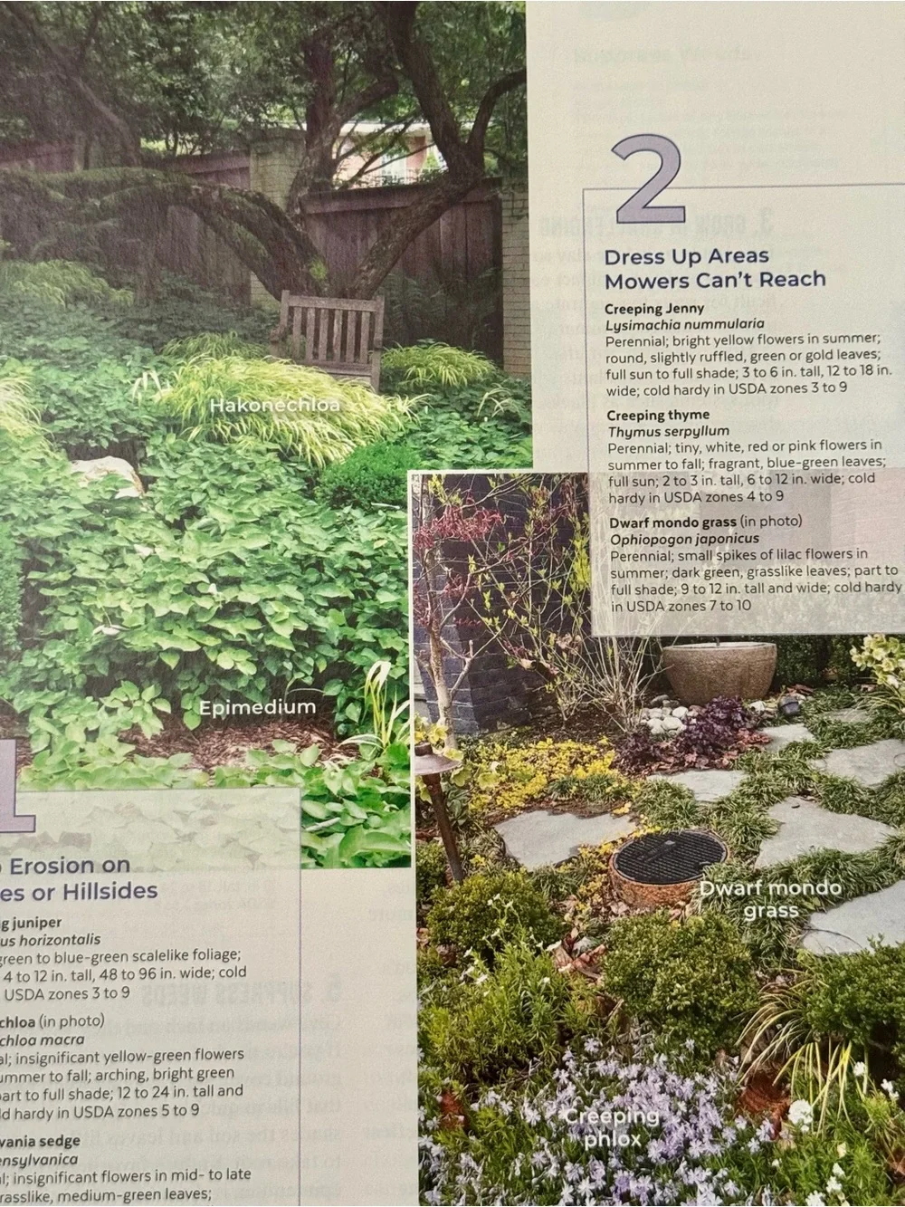 Garden Gate Magazine January/February 2025 Gardening Tips & Best New Plants